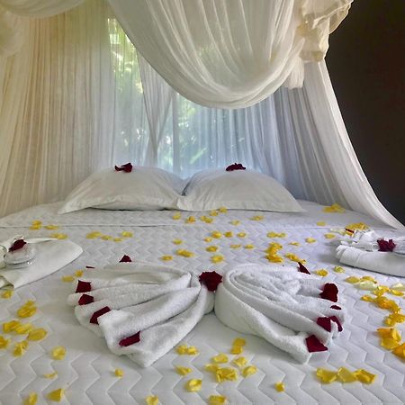 Eden Paradise Ecolodge & Spa Sainte-Luce Ruang foto