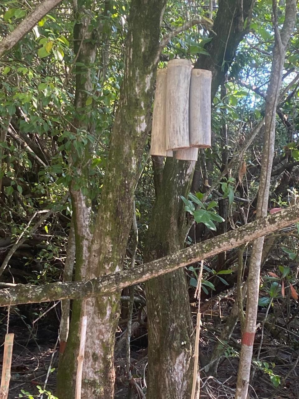 Eden Paradise Ecolodge & Spa Sainte-Luce Bagian luar foto
