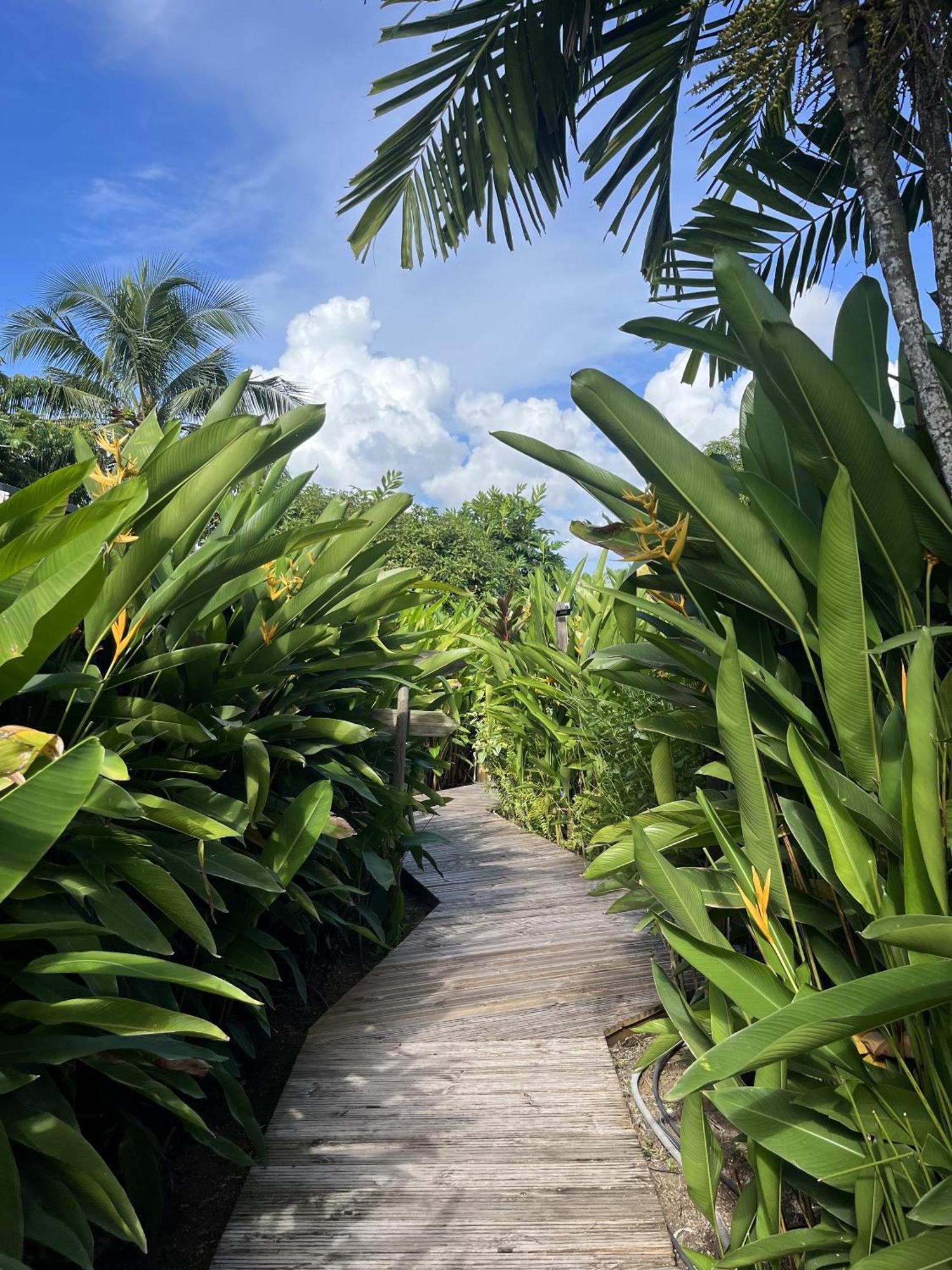 Eden Paradise Ecolodge & Spa Sainte-Luce Bagian luar foto
