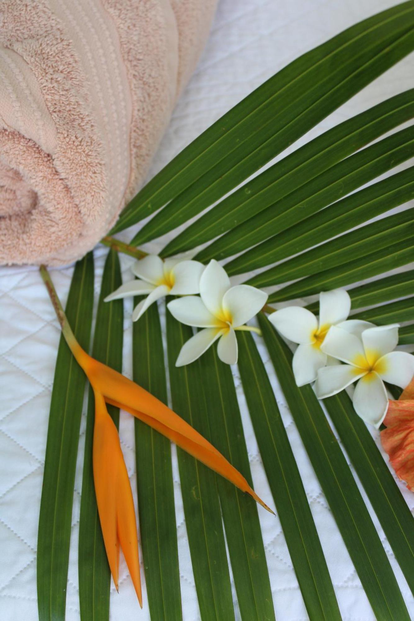 Eden Paradise Ecolodge & Spa Sainte-Luce Ruang foto